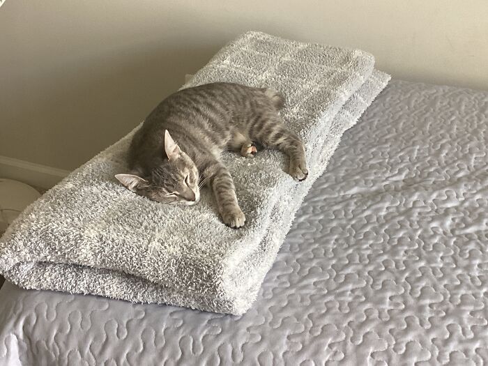 Luna: The Queen of Chill