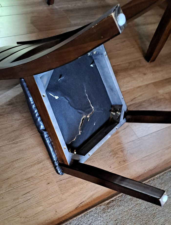 Wild Teacher Tales That’ll Make You Go Whoa