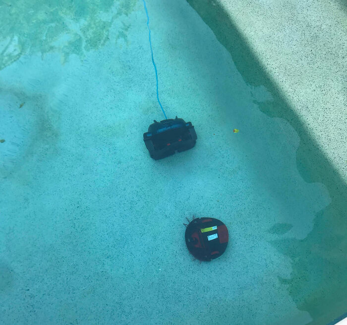 Robot Vacuum Meets Pool: Splash Zone Disaster