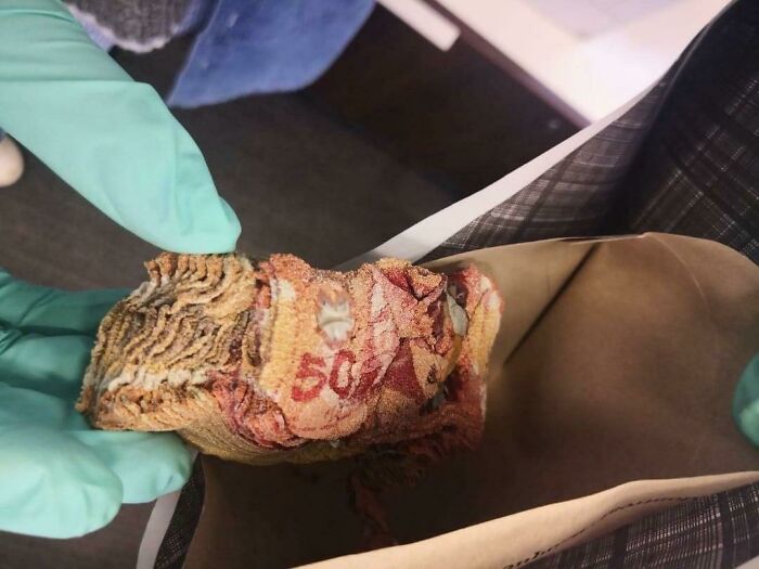 Microwave Disaster That Cost 5,000 Canadian Bucks