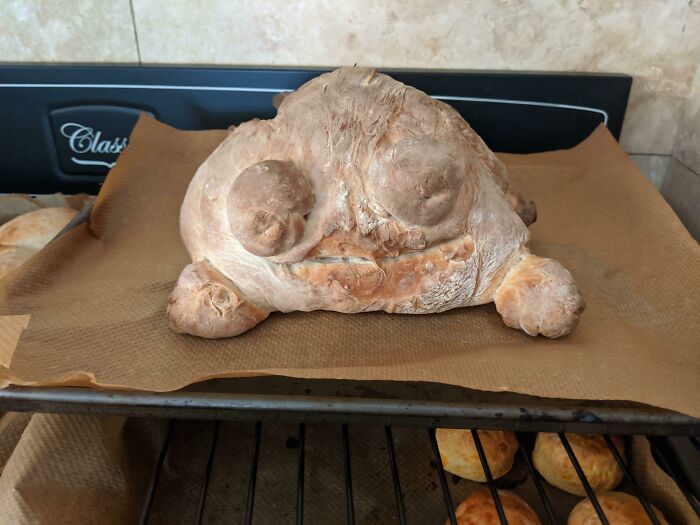 Baking Frog Bread Went Wrong. Meet Jerry, the Amphibian Nightmare