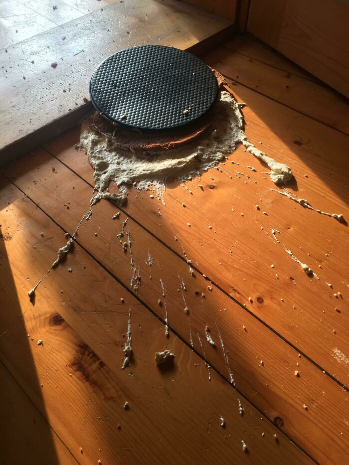 Birthday Cake Nose-Dive Spectacular