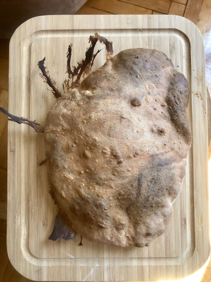 Champion of Most-Failed Bread, Sorry Banana Bread Lovers!