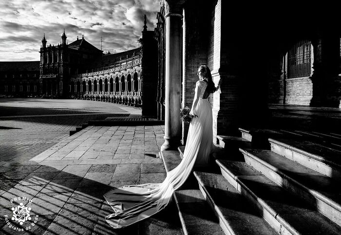 Waiting For The Moment. Photo By Jose Jordano