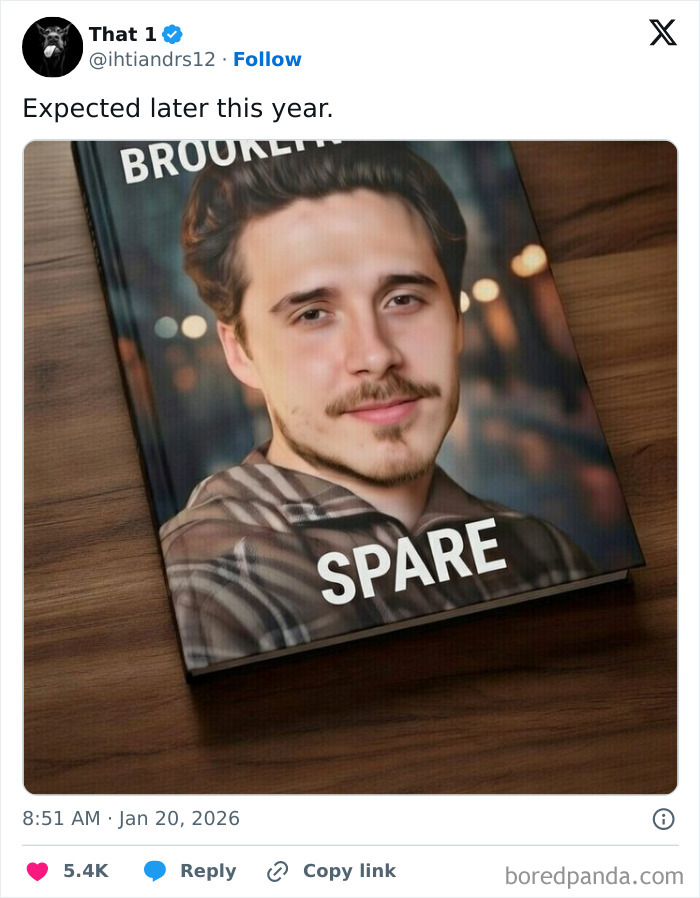 Wait, The Beckham Family Drama Got Memes?!