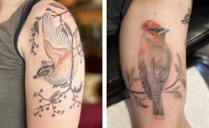 Wait Till You See These Insanely Cool Bird Tattoos!