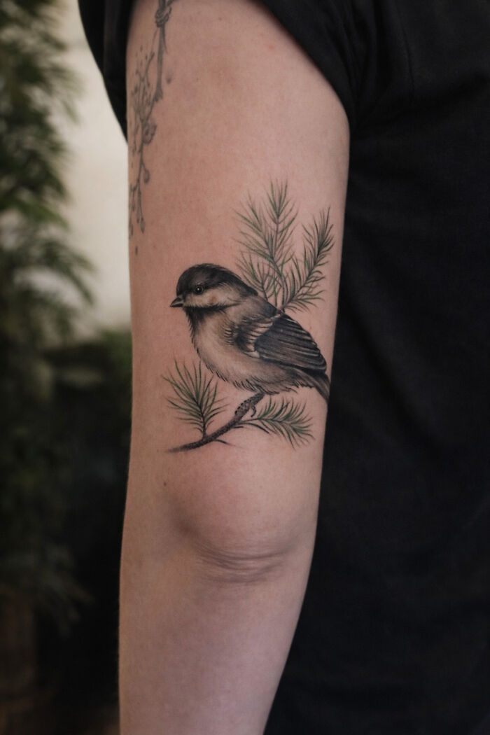 Wait Till You See These Insanely Cool Bird Tattoos!