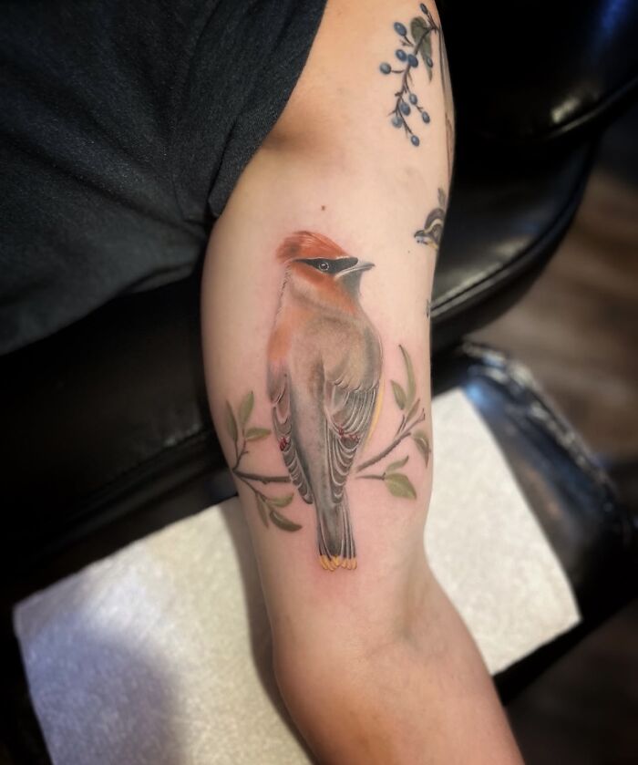 Wait Till You See These Insanely Cool Bird Tattoos!