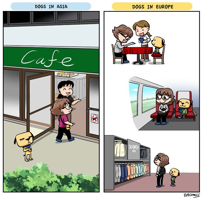 Wait Till You Spot These Hilarious Travel Culture Shocks!