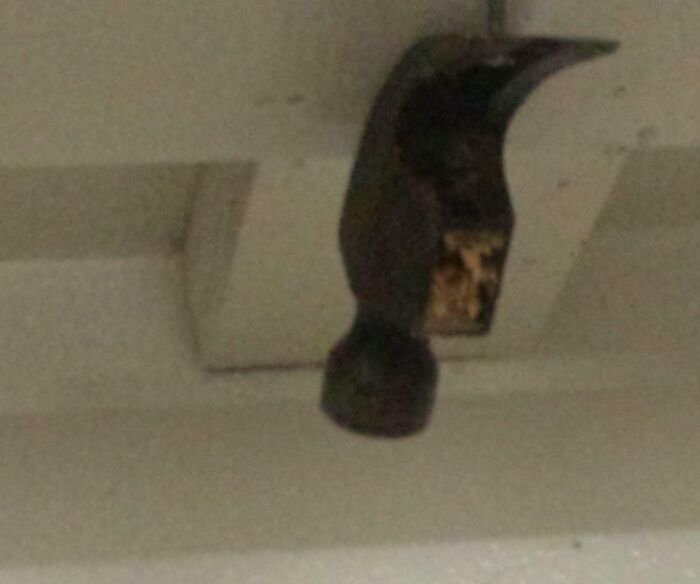 Oops! When DIY Goes From Genius Idea to Total Hot Mess