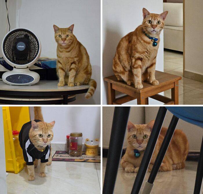 What Is Even Happening Inside His Head?