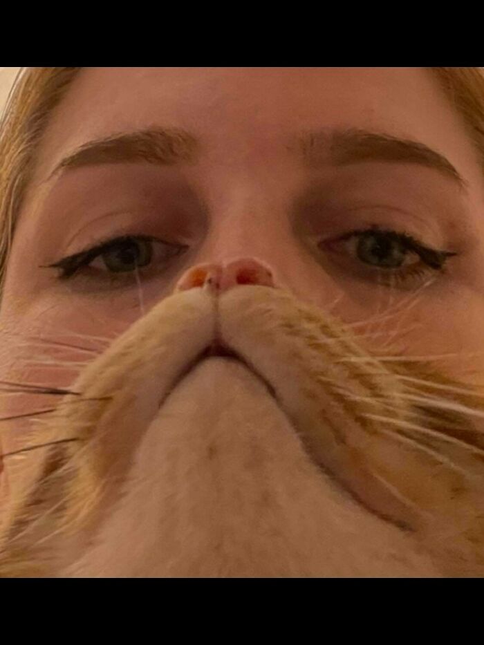 Anyone Else Do This with Their Orange Cat?