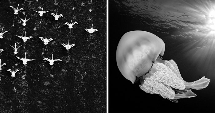 Crazy Cool Aerial & Underwater Pics That Make You Go ‘Whoa!’