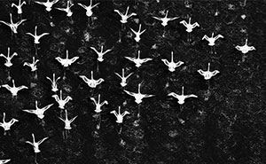 Crazy Cool Aerial & Underwater Pics That Make You Go ‘Whoa!’
