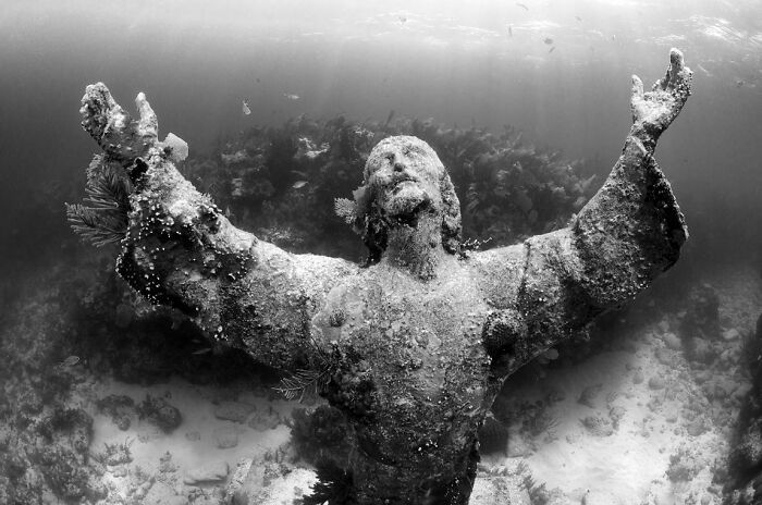 Statue Underwater Gets a Coral Makeover