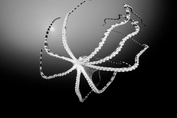 Crazy Cool Aerial & Underwater Pics That Make You Go ‘Whoa!’