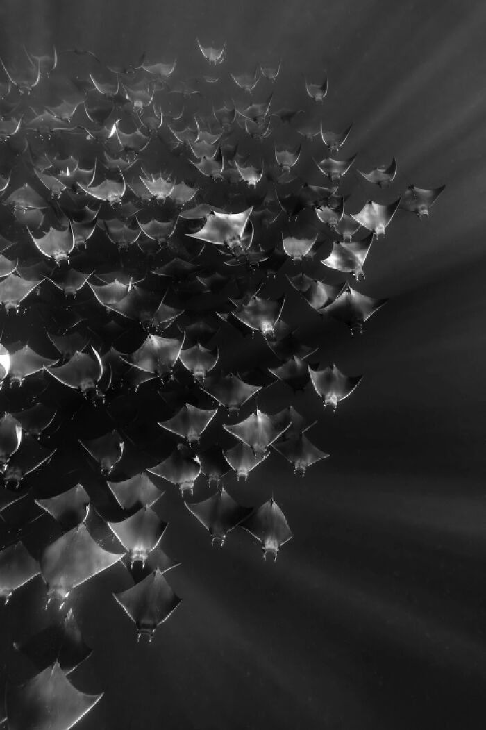 Crazy Cool Aerial & Underwater Pics That Make You Go ‘Whoa!’