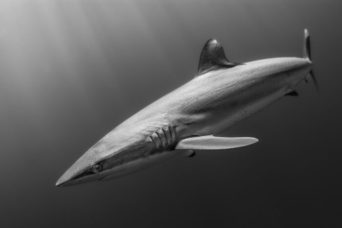 Crazy Cool Aerial & Underwater Pics That Make You Go ‘Whoa!’