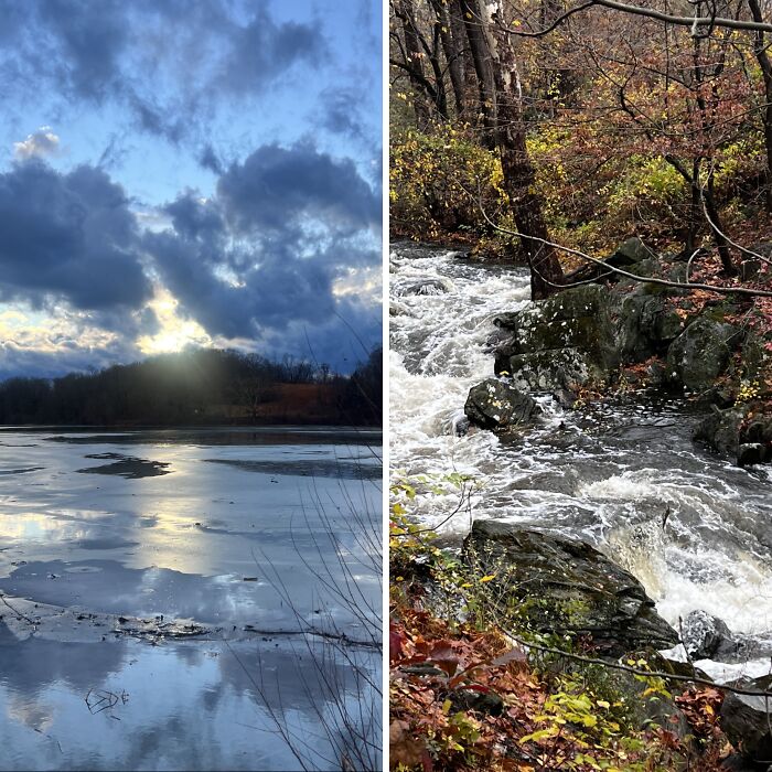 This Guy Took the Same Walk Every Day and Snapped Magic