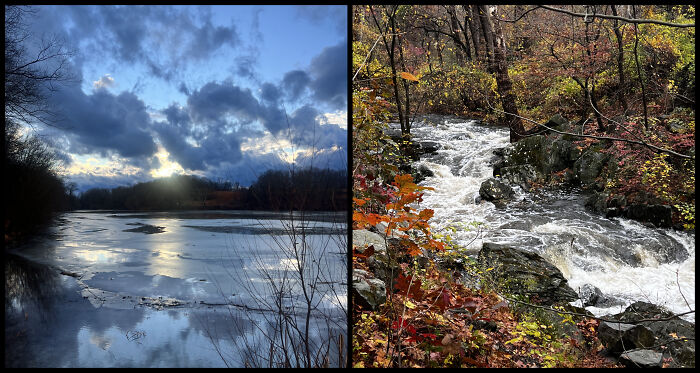 This Guy Took the Same Walk Every Day and Snapped Magic