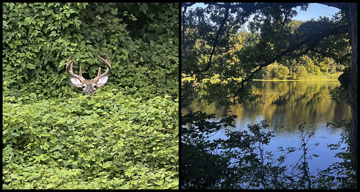 This Guy Took the Same Walk Every Day and Snapped Magic
