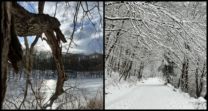 This Guy Took the Same Walk Every Day and Snapped Magic