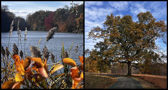 This Guy Took the Same Walk Every Day and Snapped Magic