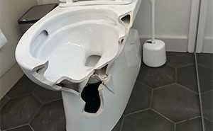 Oops! 58 Hilarious Wife & Girlfriend Fails That Turned Normal Days Into Comedy Gold