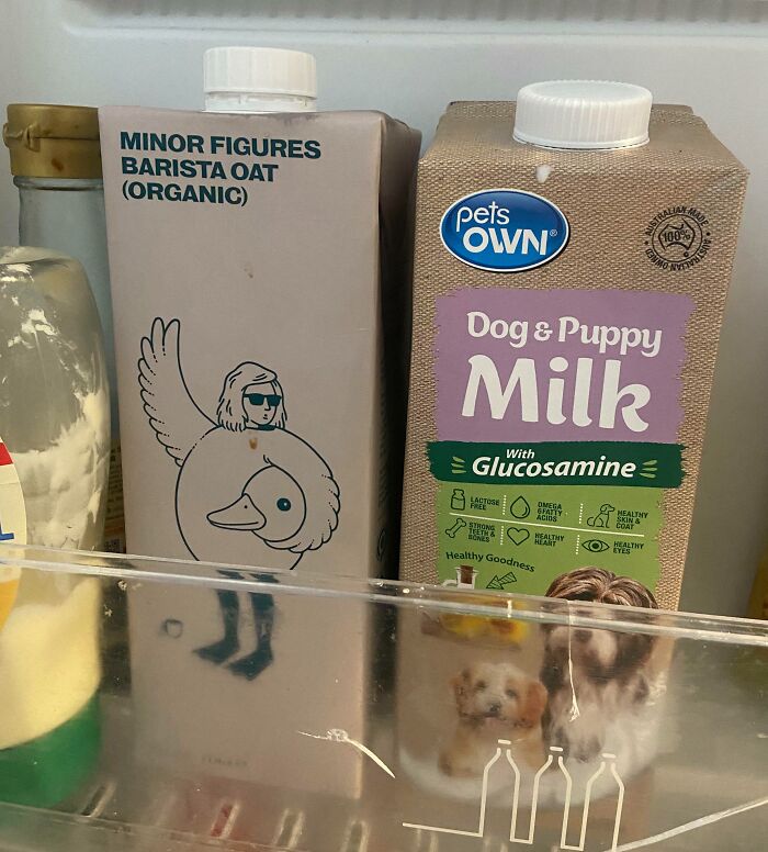 Oops! 58 Hilarious Wife & Girlfriend Fails That Turned Normal Days Into Comedy Gold