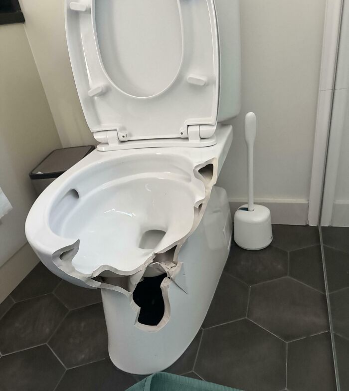 Oops! 58 Hilarious Wife & Girlfriend Fails That Turned Normal Days Into Comedy Gold