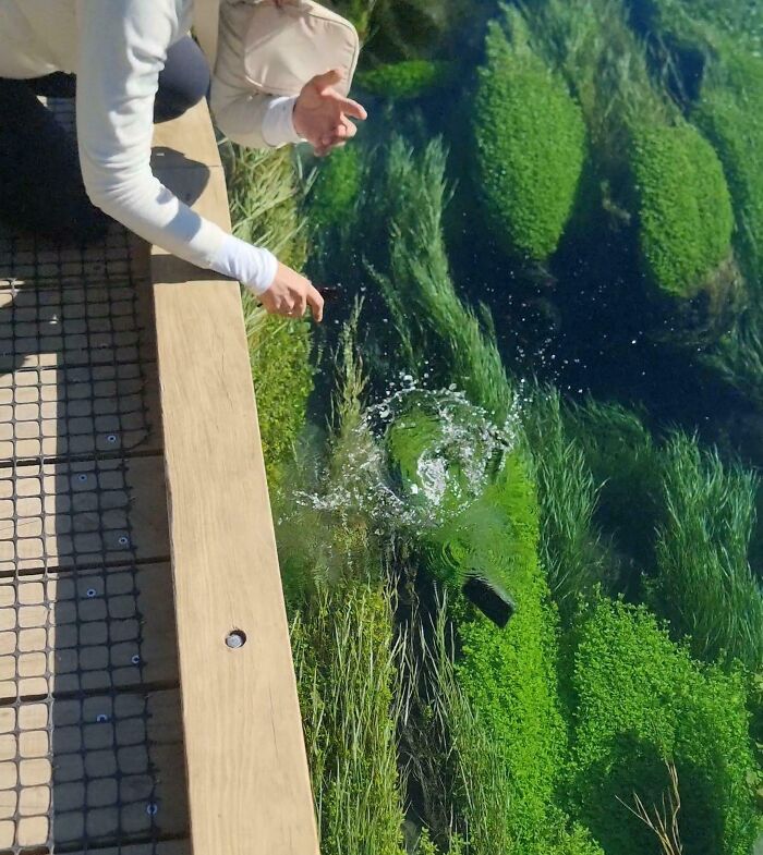 Oops! 58 Hilarious Wife & Girlfriend Fails That Turned Normal Days Into Comedy Gold