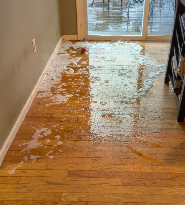 Oops! 58 Hilarious Wife & Girlfriend Fails That Turned Normal Days Into Comedy Gold