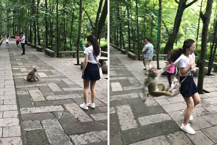 Oops! 58 Hilarious Wife & Girlfriend Fails That Turned Normal Days Into Comedy Gold