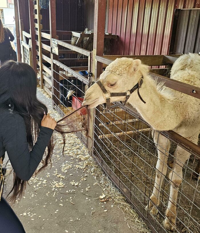 Oops! 58 Hilarious Wife & Girlfriend Fails That Turned Normal Days Into Comedy Gold