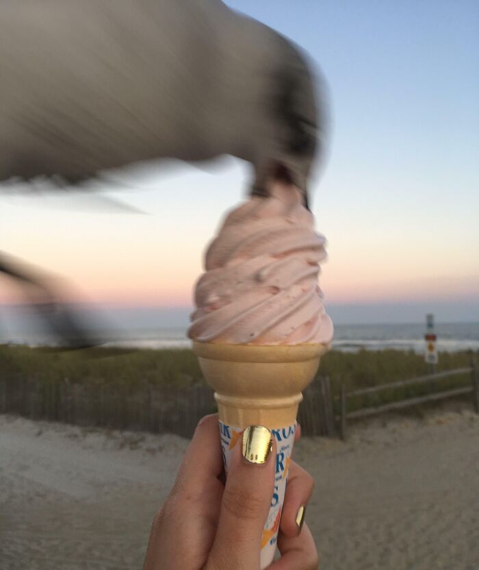 Oops! 58 Hilarious Wife & Girlfriend Fails That Turned Normal Days Into Comedy Gold