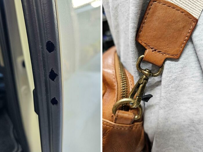 Oops! 58 Hilarious Wife & Girlfriend Fails That Turned Normal Days Into Comedy Gold