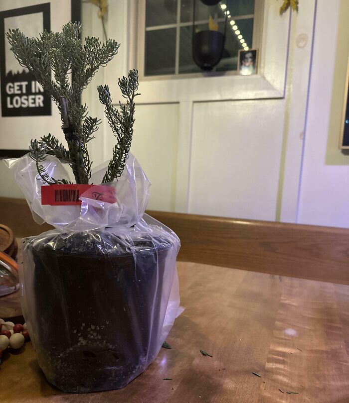 Oops! 58 Hilarious Wife & Girlfriend Fails That Turned Normal Days Into Comedy Gold