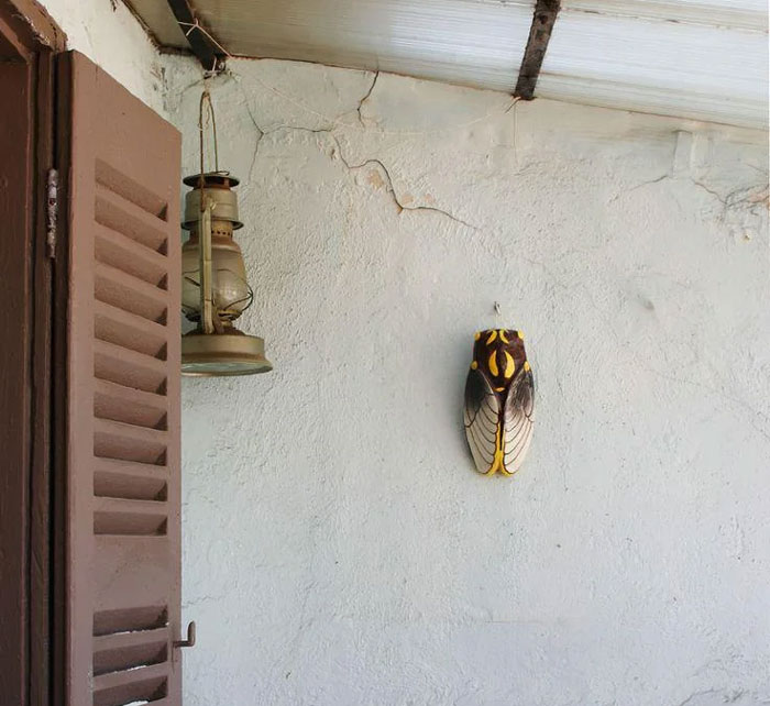 Ceramic or Cast Iron Cicadas on Walls – Provence’s Quirky Decoration