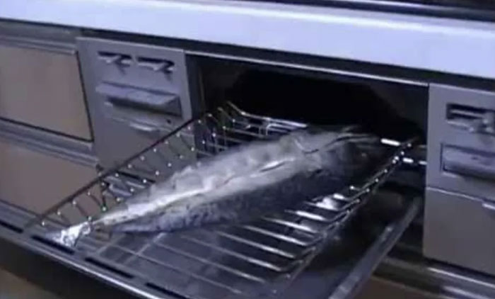 Japanese Fish Grill – Because Fish Deserves Its Own Appliance