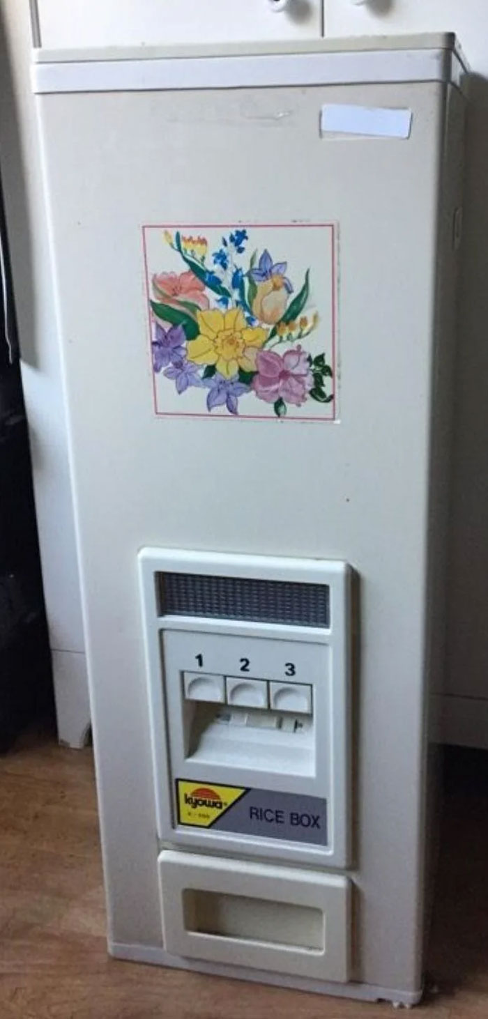 Rice Dispenser – East Asia’s Handy Kitchen Buddy