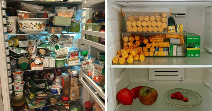 Wait Till You See These Fridges… They’re Wild!