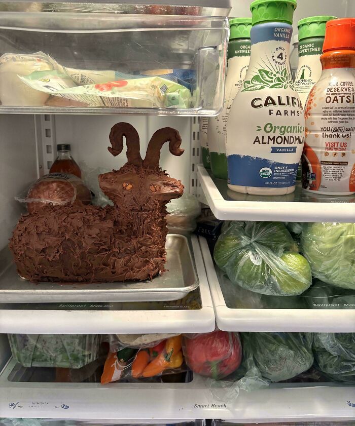 Mil’s Mystery Fridge