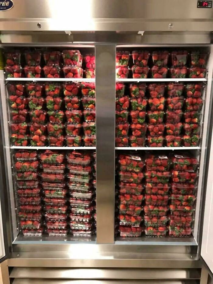Please Rate My Fridge (Be Kind!)