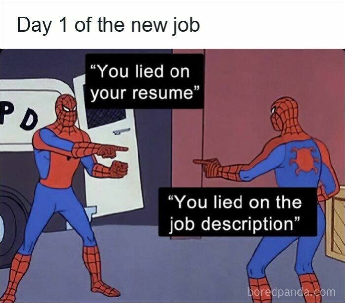 Wait, They Actually Ranked These Resume Memes?!