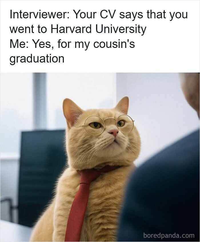 Wait, They Actually Ranked These Resume Memes?!