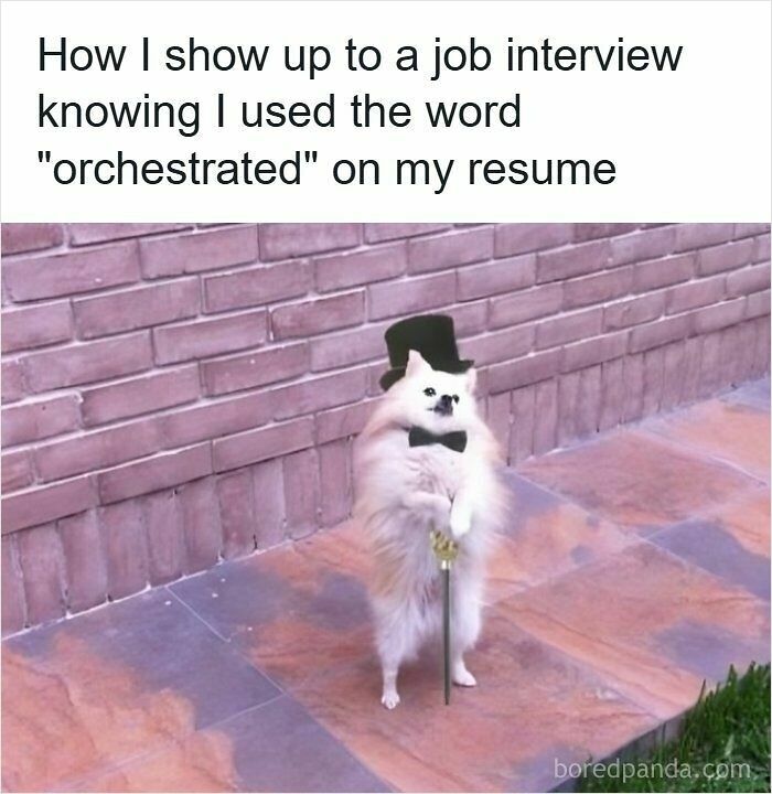 Wait, They Actually Ranked These Resume Memes?!