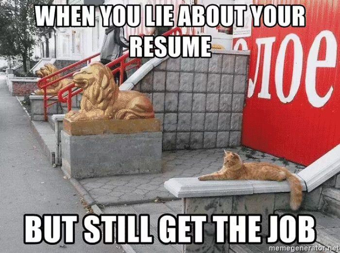 Wait, They Actually Ranked These Resume Memes?!