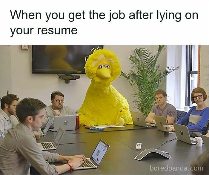 Wait, They Actually Ranked These Resume Memes?!