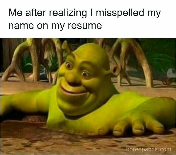 Wait, They Actually Ranked These Resume Memes?!