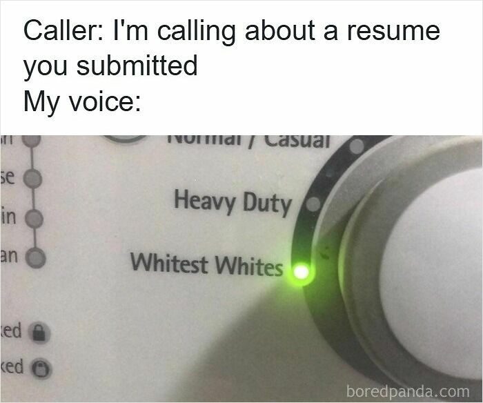 Wait, They Actually Ranked These Resume Memes?!